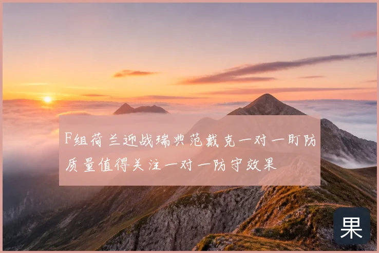 F组荷兰迎战瑞典范戴克一对一盯防质量值得关注一对一防守效果